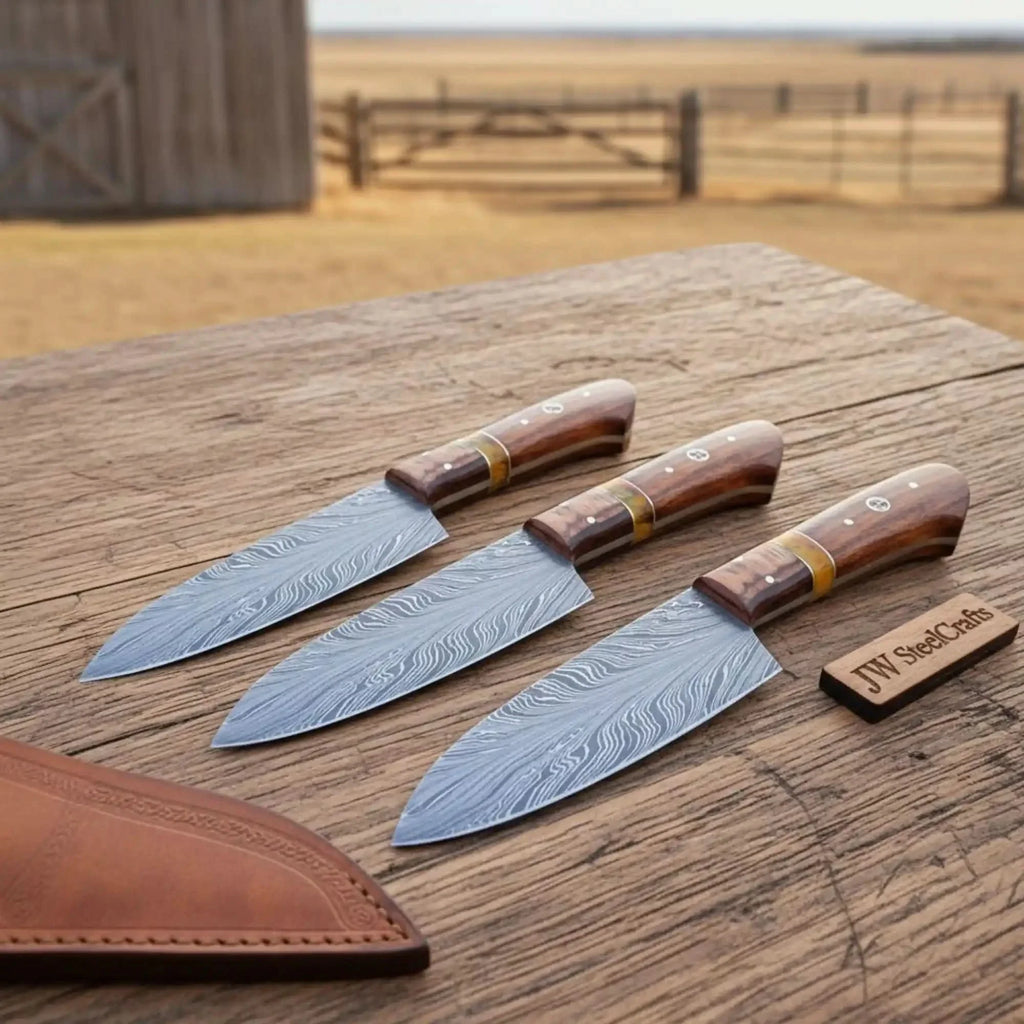 3 Piece Feather Pattern Damascus Knife Set, Handmade Chef, Santoku and Utility Knives with Pakka Wood Handles, Professional Kitchen Cutlery Set JW SteelCrafts