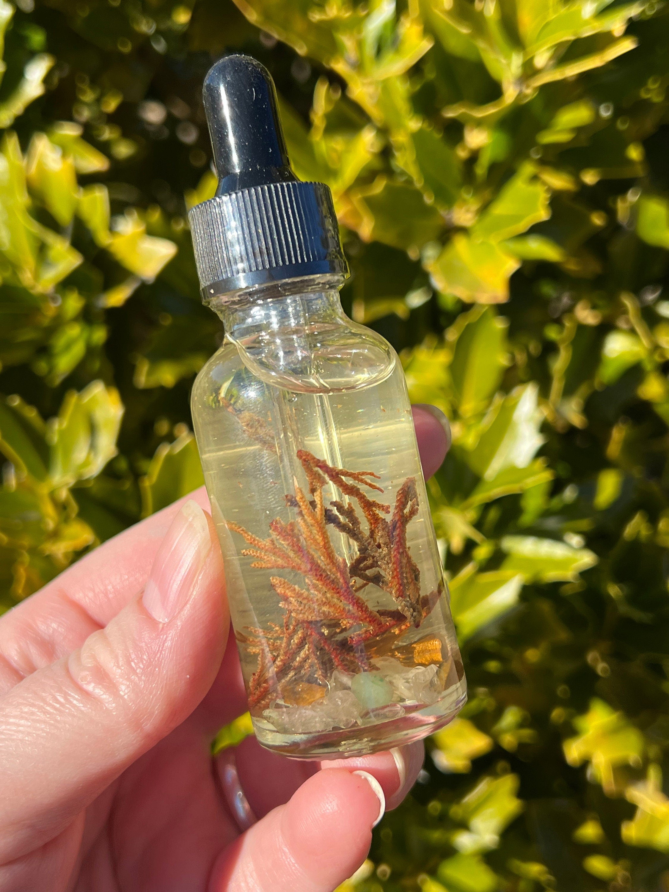 Rose of Jericho Ritual Oil | The Resurrection Plant | Witch Protection Manifestation New Beginnings Lucky Empath Spell Magickal Altar Tool